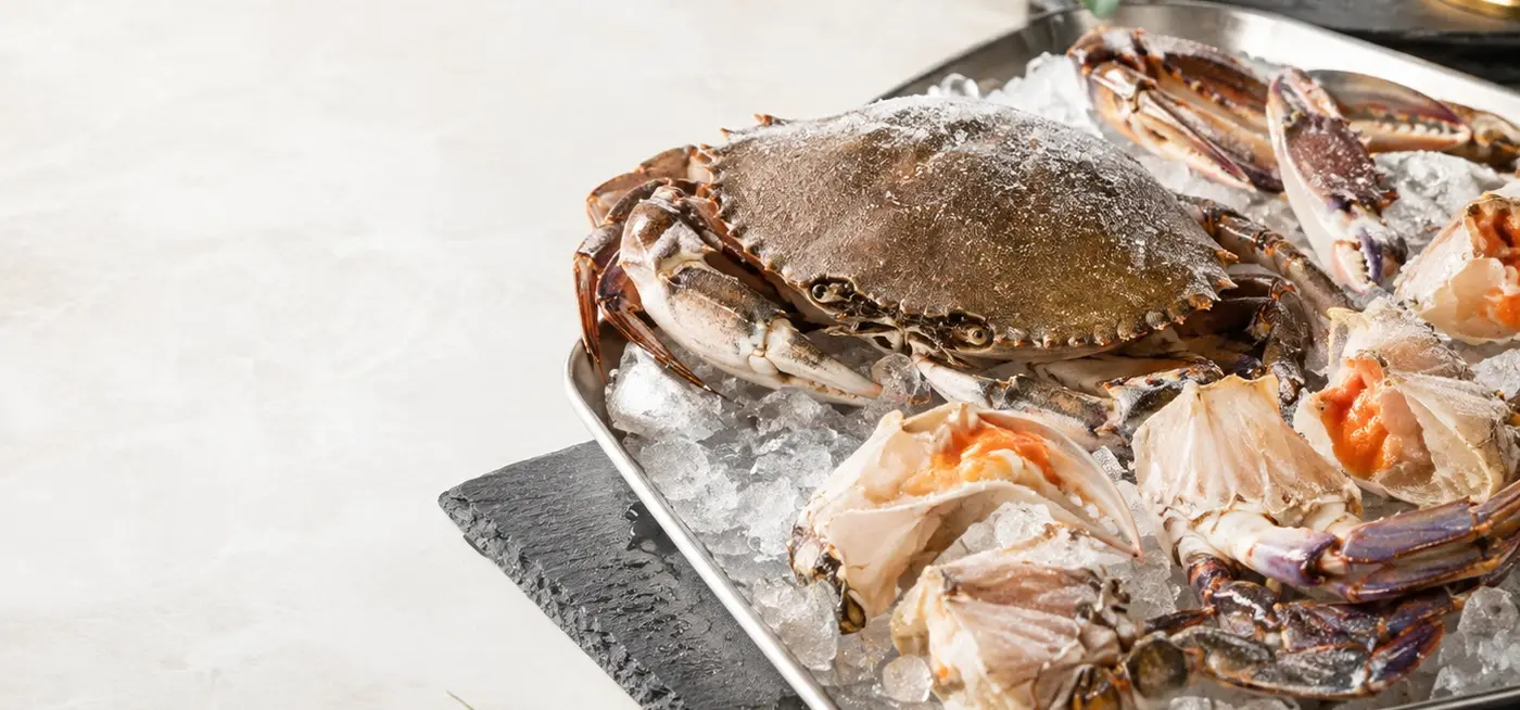 Whole crab and crab sections on ice
