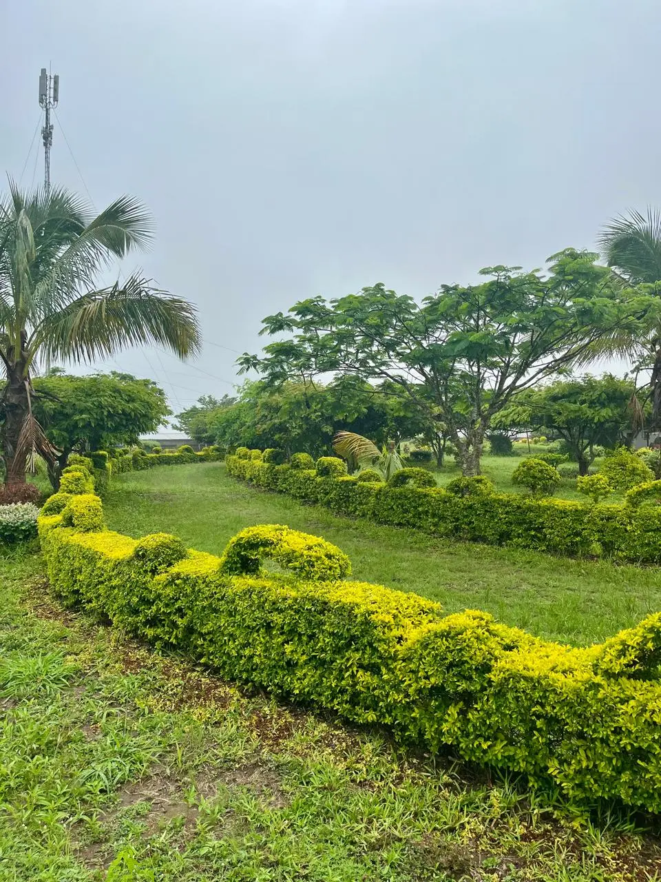 Landscaped garden avenue at Linda’s Lodge