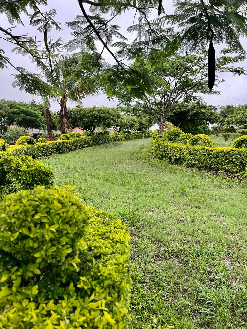 The established landscaped gardens at Linda’s Lodge in Chimoio