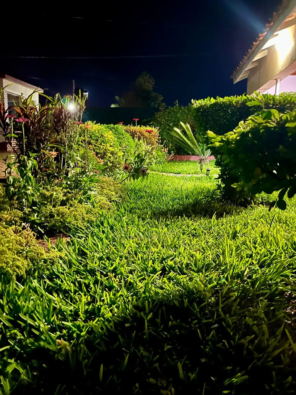 Linda’s Lodge garden illuminated in the evening