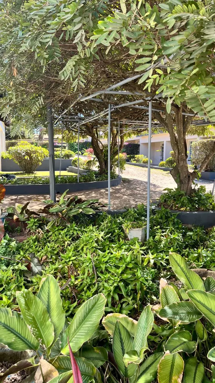 Shaded garden walkway at Linda’s Lodge